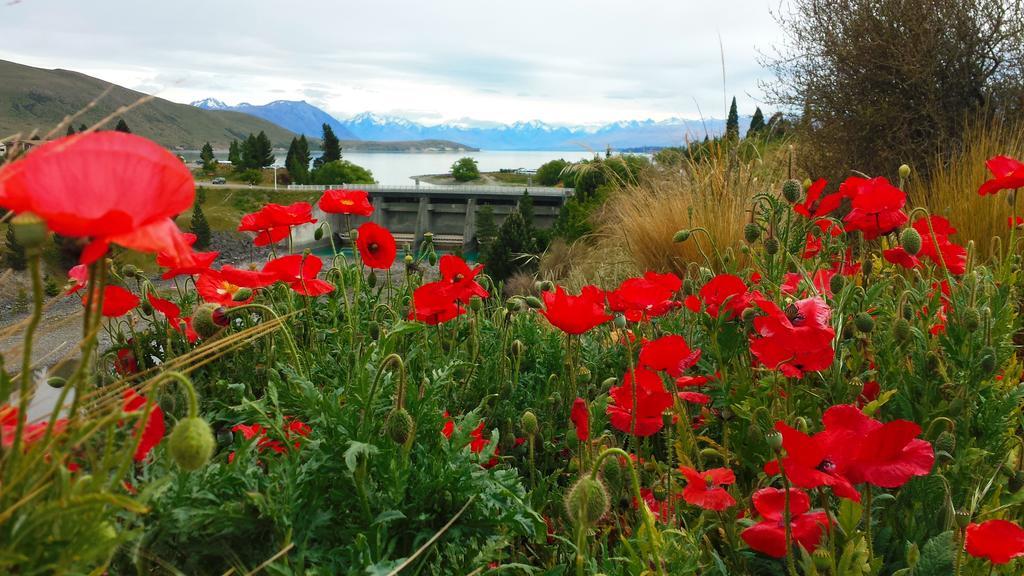 Marie Therese Apartment B&B Lake Tekapo Kültér fotó